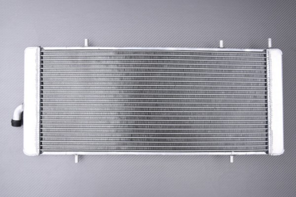 Radiateur auxiliaire eau racing renforcé pour Polaris RZR Turbo 2017-2021.